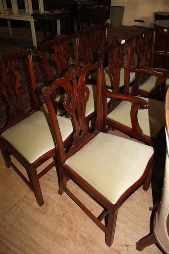 Set 6 Chippendale style dining chairs